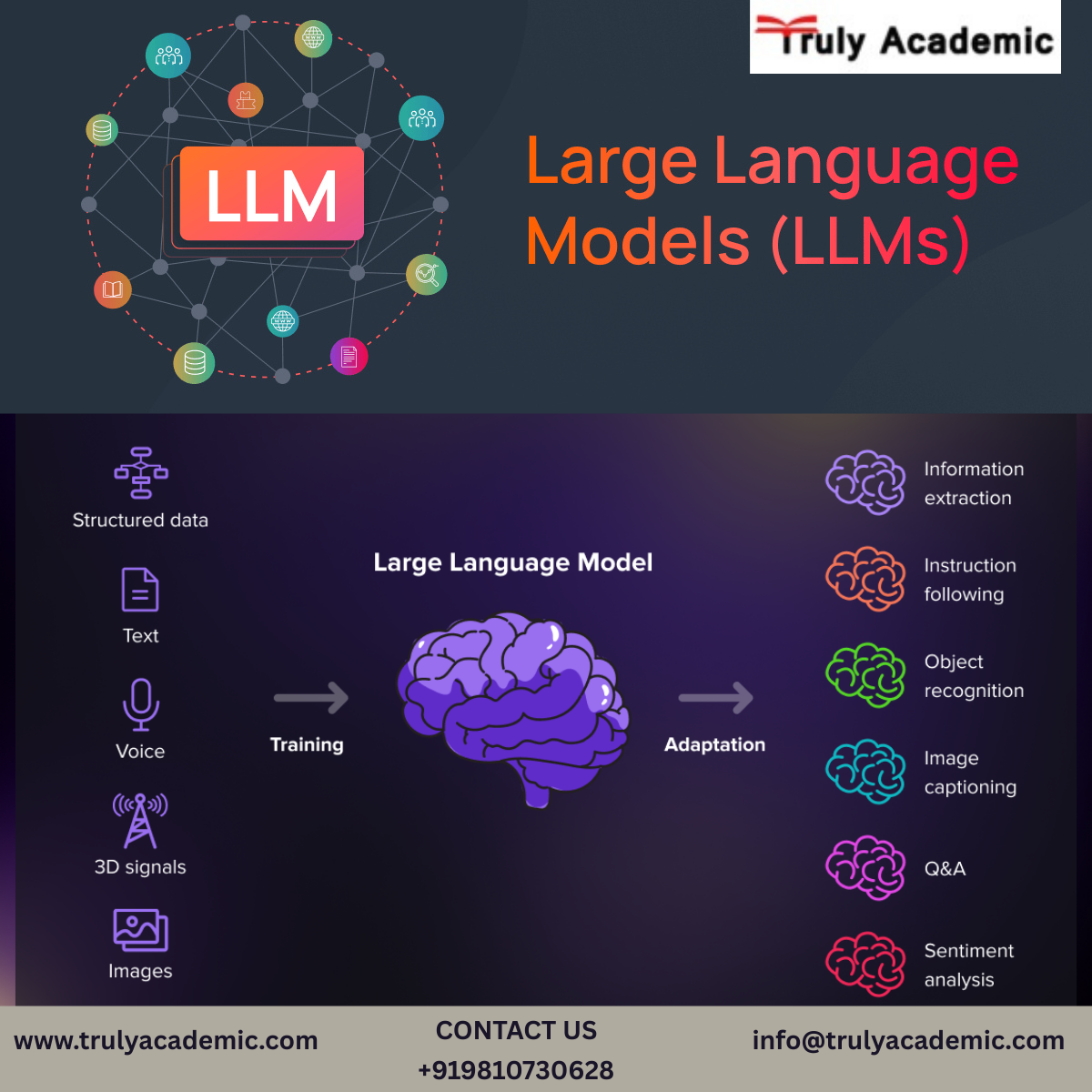 Large Language Model